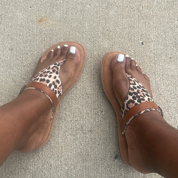 B.O.C. Sandal Mya Womens Animal Print Thong Flat New Sz 9M - Picture 6 of 9